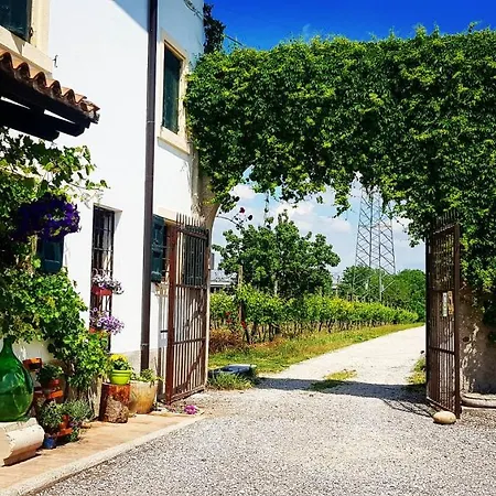 Il Sogno Di Chrissy Verona